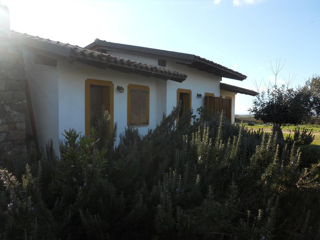 Agriturismo Su Nuratolu Villa Sagama Екстериор снимка