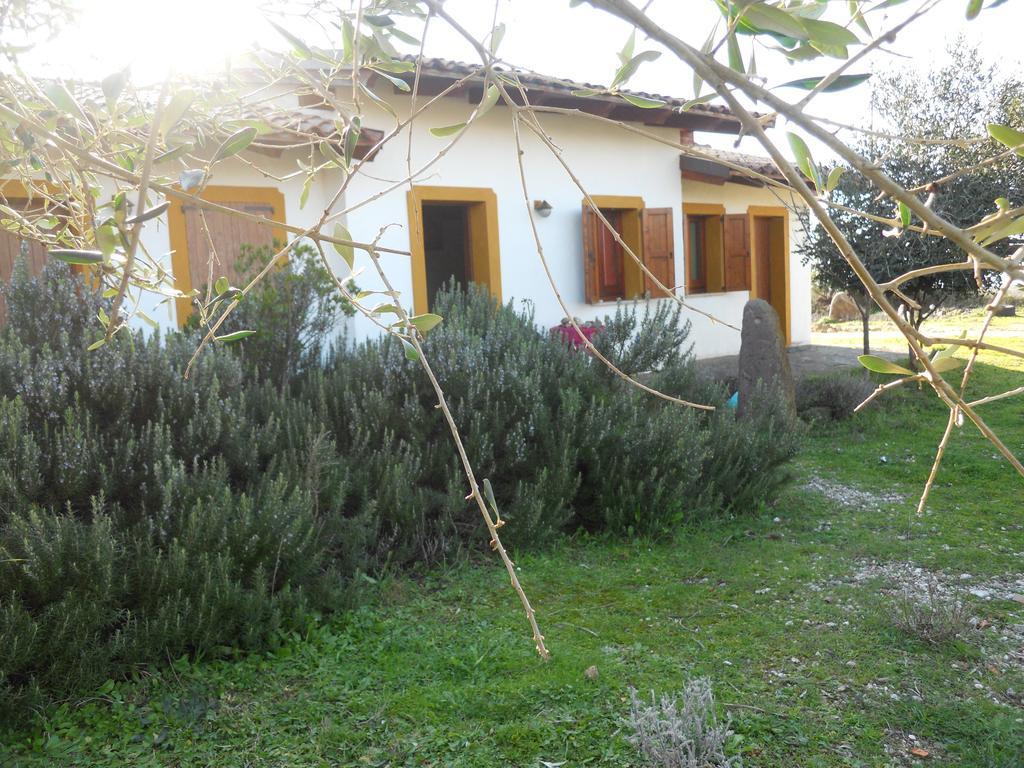 Agriturismo Su Nuratolu Villa Sagama Екстериор снимка